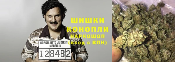 гидропоника Богданович
