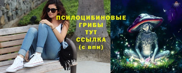 гидропоника Богданович