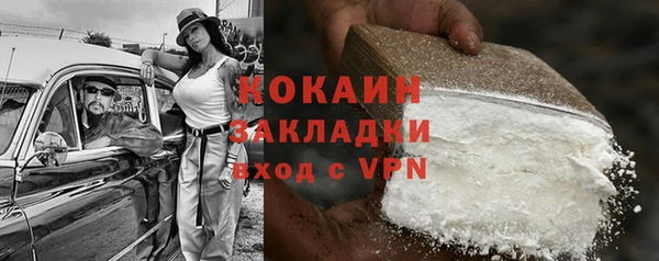 кокс Богородицк