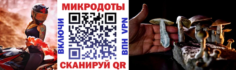 Псилоцибиновые грибы GOLDEN TEACHER  Новотитаровская 